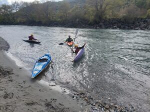 282873309 523363306093164 6950877912419852894 n