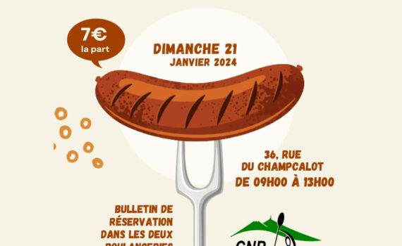 417891559 879425480854890 7186144940027314407 n