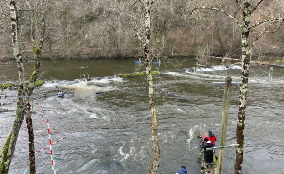 WhatsApp Image 2025 03 16 a 16.50.25 889e7fe9